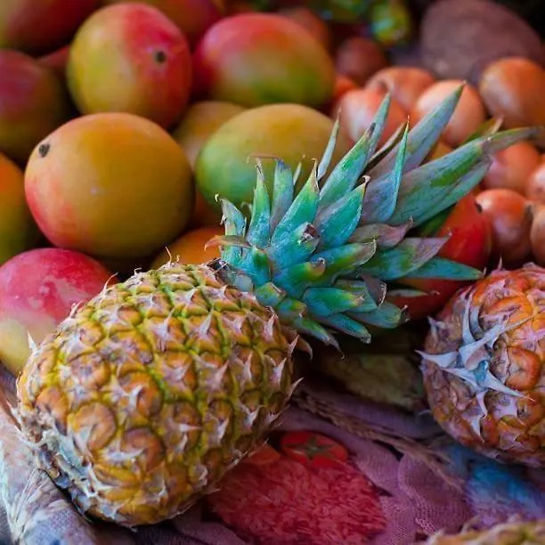فيلا Palm Paradise سانت فرانسوا